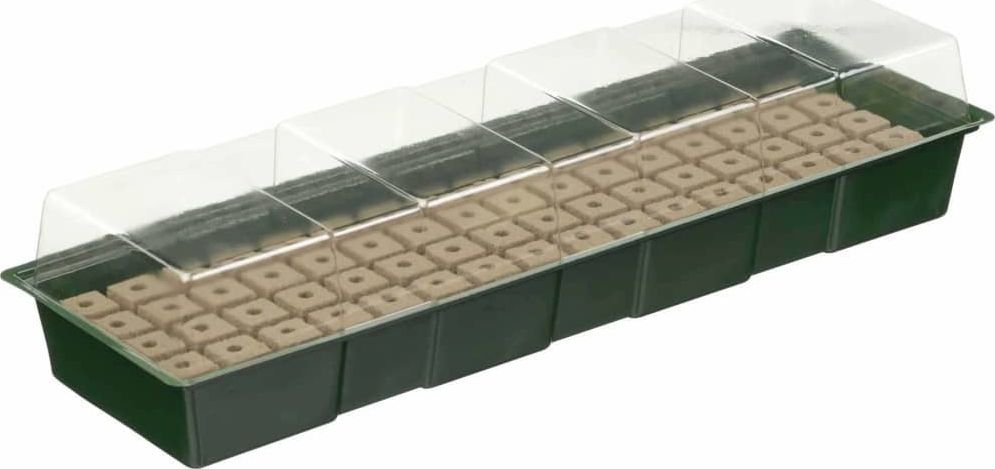 Nature Nature Propagator do sadzonek, 10 x 49 x 15,5 cm 423486 (8711338202180)