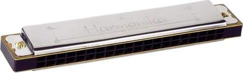 Goki Harmonica for children, Montessori aids