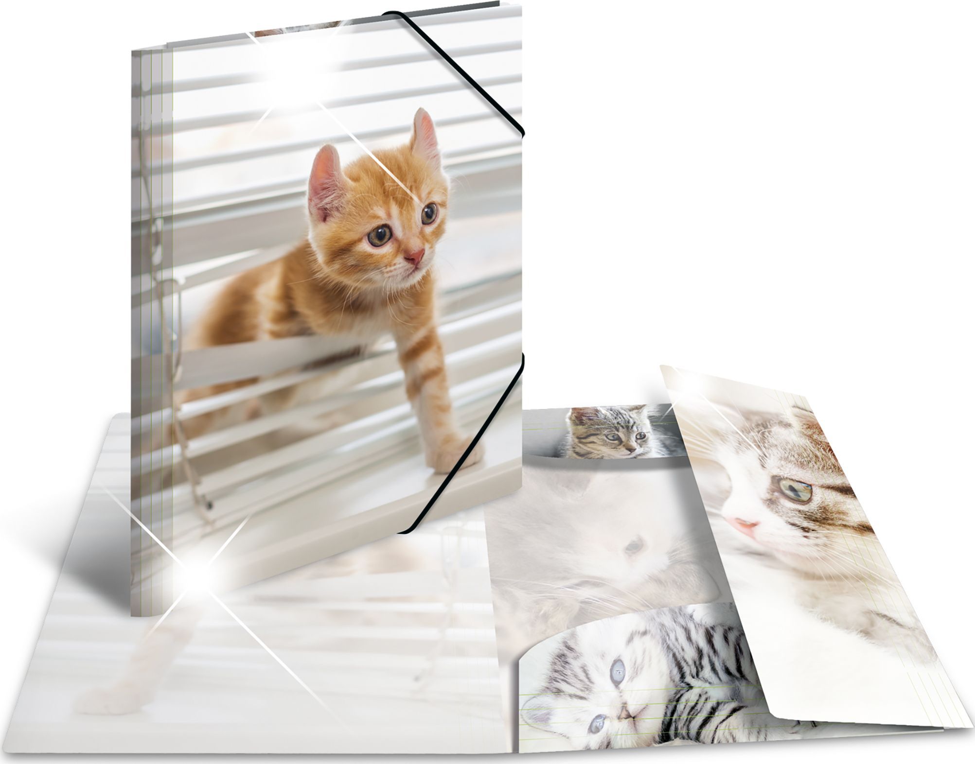 HERMA Sammelmappe A4 Glossy Katze Polypropylen