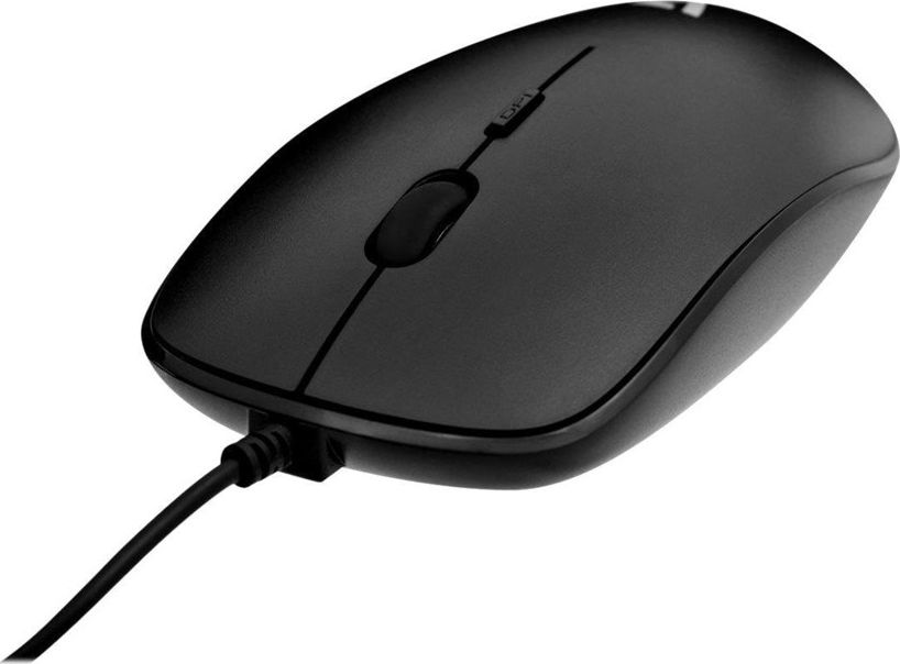 V7 USB OPTICAL 4 BUTTON MOUSE 1.8M CORD/ MAX 1600DPI IN Datora pele