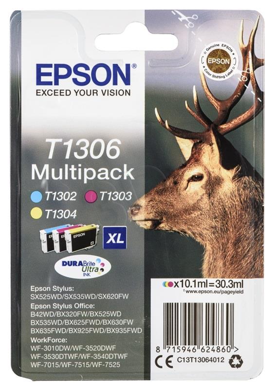 Epson T1306 