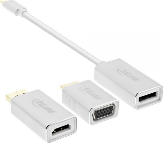 Adapter USB InLine USB-C - DisplayPort Bialy  (64109S)