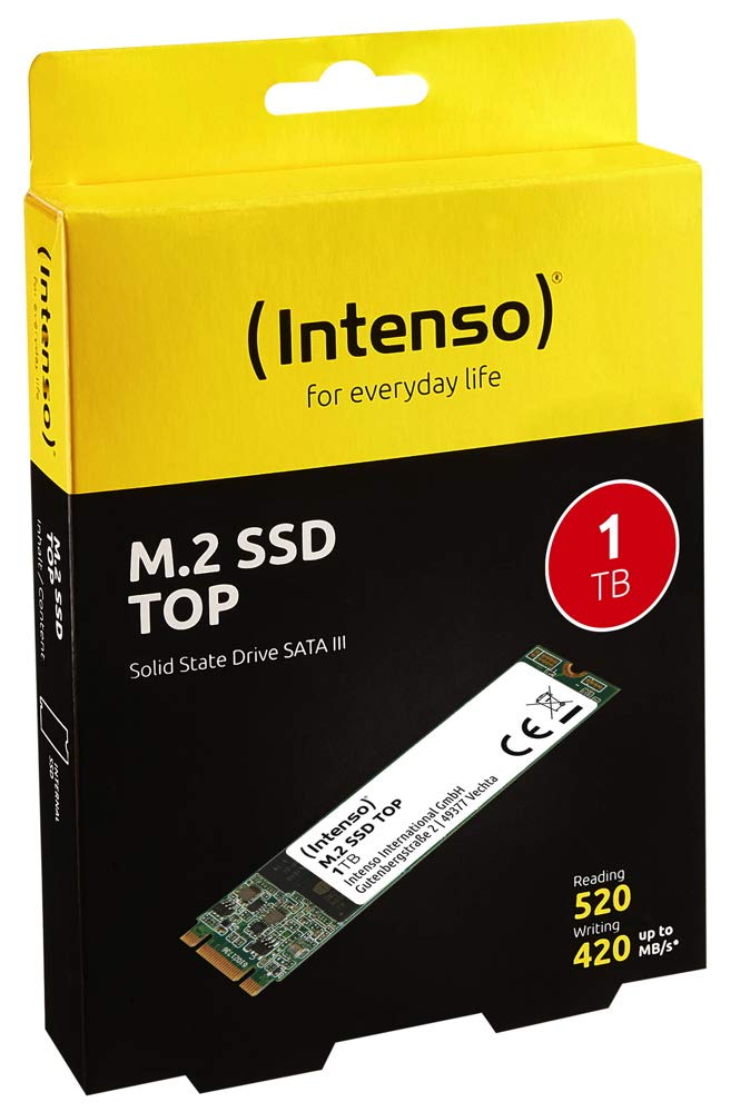 Intenso M.2 SSD TOP          1TB SATA III SSD disks