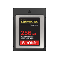 SanDisk CF Express Type 2  256GB Extreme Pro     SDCFE-256G-GN4NN atmiņas karte