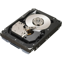 HPE Dual Port Enterprise - Festplatte - 601776-001 cietais disks