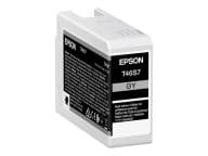 Epson ink cartridge gray T 46S7 25 ml Ultrachrome Pro 10 kārtridžs