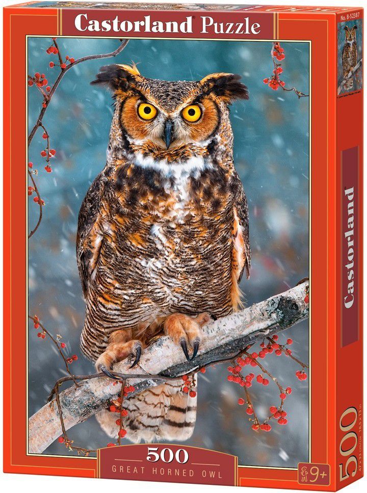 Castorland Owl (52387) puzle, puzzle