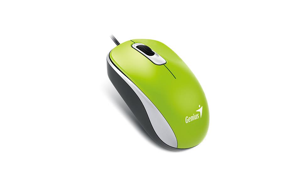 Mouse GENIUS DX-110 grun USB Datora pele