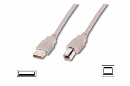 Cable USB2,0 A m / B m dl.1,8m - beige USB kabelis