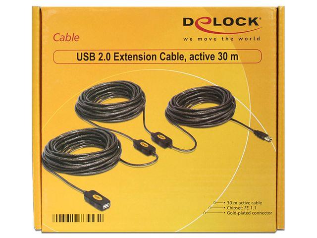 Delock Cable USB 2.0 Extension, active 30 m USB kabelis