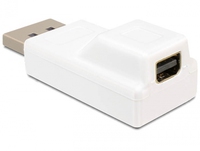 DisplayPort-Adapter - DisplayPort (M) adapteris