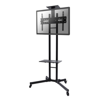 NewStar Mobile Flatscreen Floor Stand - (height: 155-170 cm) aksesuārs portatīvajiem datoriem