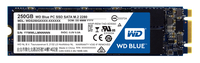 WD Blue SSD 250GB M.2 2280 SATA III SSD disks
