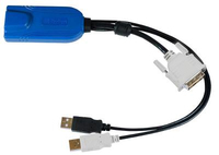 RARITAN Digital DVI-D USB CIM required f KVM komutators