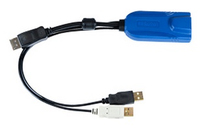 RARITAN Digital DisplayPort USB CIM requ KVM komutators