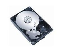 MicroStorage 250GB 3,5 SATA II 7200RPM Refurbished Parts AHDD012, ST3300820SCE, WD2500YS, JX718, ST3250310CS, 449980-001, WD2500AAJS, ST3250 cietais disks