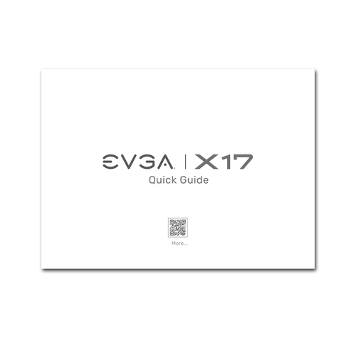 EVGA X17 - mouse - USB - gray 4250812439482 Datora pele