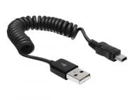 DELOCK Cable USB 2.0-A > USB mini tīkla iekārta
