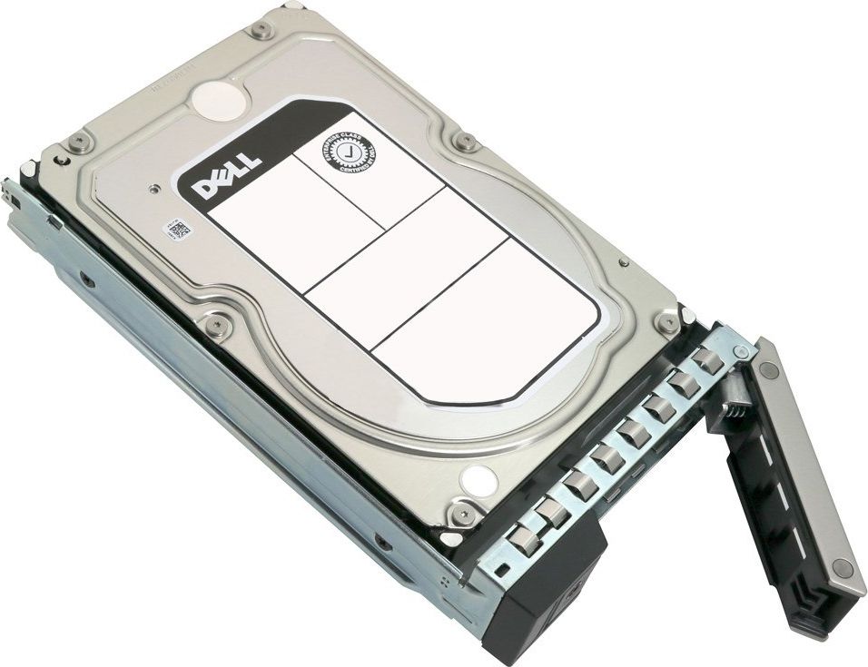 Dell HDD 3.5 / 12TB / 7.2k / NLSAS RPM / CK 2000001040676 cietais disks