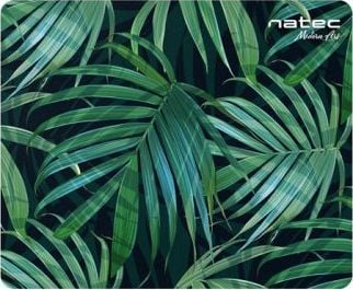 Podkladka Natec Foto Palm Tree 10-pack (NPF-1431/10) peles paliknis