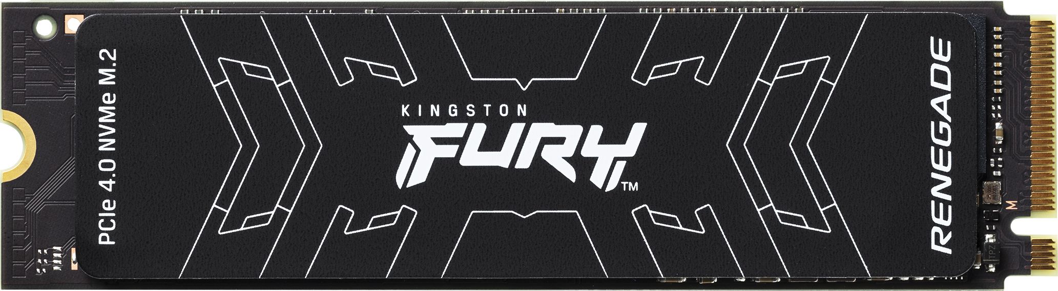 SSD drive FURY Renegade 500G PCIe 4.0 NVMe M.2 spēļu konsoles gampad