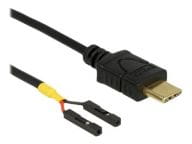 USB-Kabel - USB-C (M) bis 2-poliger USB-Header (W) adapteris