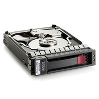 Hewlett Packard Enterprise 517350-001 300GB SAS Interne Festplatte (517350-001) cietais disks