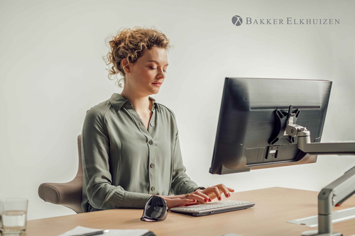 Bakker Elkhuizen Evoluent D Vertical Mouse Rechts Wireless Datora pele