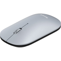 TERRA Mouse NBM1000S wireless BT silber Datora pele