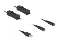 Netz-Splitter - USB (M) zu Gleichstromstecker 5,5 x 2,1 mm (W) adapteris