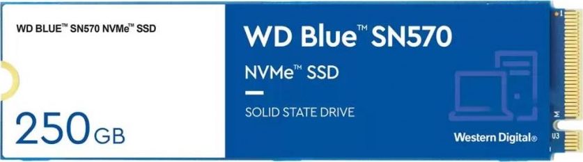 Western Digital SSD BLUE 250GB NVME WDS250G3B0C SSD disks