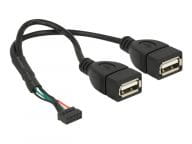 DeLOCK 0.2m, USB2.0 10p/2xUSB 2.0-A 0.2m 2 x USB A black USB Kabel (84933) USB kabelis