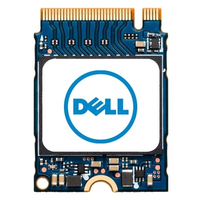 Dell - solid state drive - 1 TB - PCI Express (NVMe) SSD disks