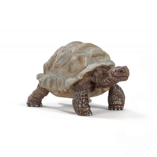 Schleich Wild Life Giant Tortoise - 14824 konstruktors