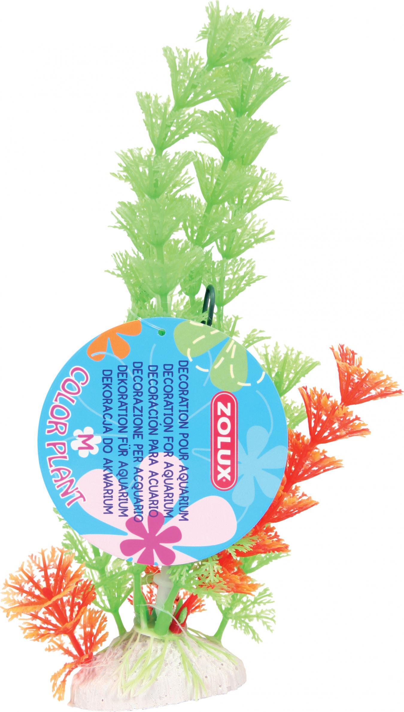 Zolux ZOLUX Ozdoba roslina Color Plant S rozne kolory 10104558 (3336023520308)