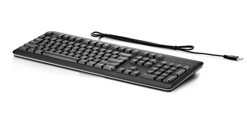 HP Inc. 672647-L33 USB Keyboard INT EU New Retail Datora pele