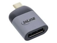 Videoadapter - USB-C (M) zu DisplayPort (W) adapteris