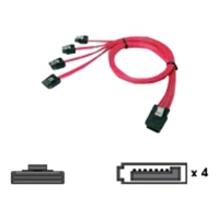 Chenbro Micom Chenbro Mini SAS 36pin-to-SATA SAS - Serial ATA, 0.6 m, SATA  5711045139826 aksesuārs datorkorpusiem