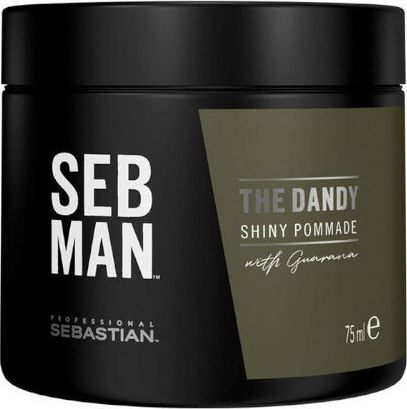 Sebastian Professional Plauku pomada vyrams Sebastian Professional SEB MAN The Dandy Shiny 75 ml 3614226734396 (3614226734396) Matu šampūns