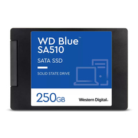WD Blue SA510 SSD 250GB 2.5inch SATA III SSD disks