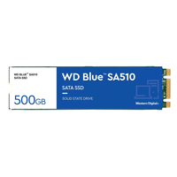 WD Blue SA510 SSD 500GB M.2 SATA III SSD disks