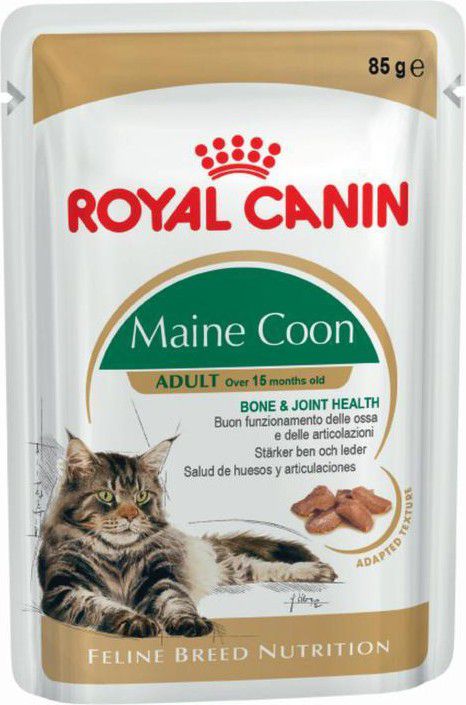 Royal Canin Maine Coon karma mokra w sosie dla kotow doroslych rasy maine coon 12x85g VAT004796 (9003579001202) kaķu barība