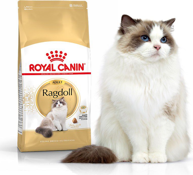 Royal Canin Ragdol Adult karma sucha dla kotow doroslych rasy ragdoll 2 kg 59759 (3182550825351) kaķu barība