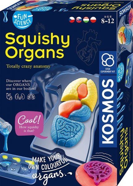 Russell Zestaw naukowy Fun Scienc-Squishy Organs GXP-791090 (4002051616823)