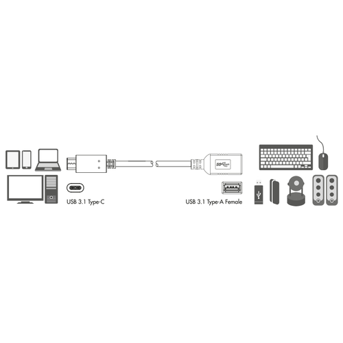 LogiLink USB 3.1 C - USB 3.1 USB kabelis