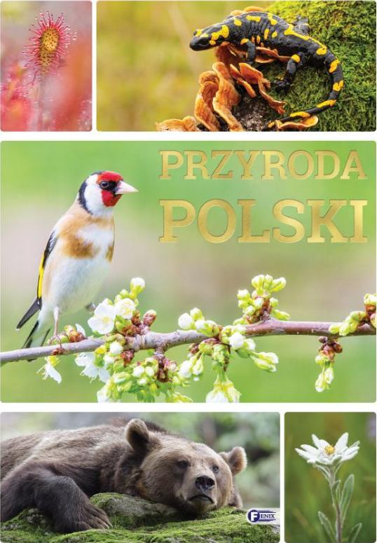 Przyroda Polski 475232 (9788379325214)