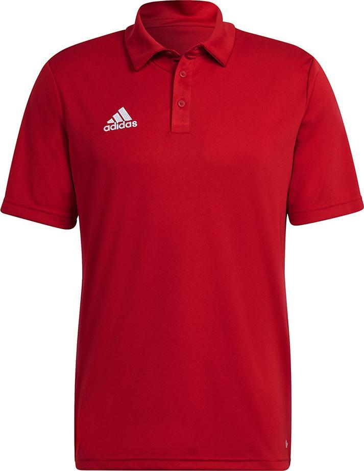 Adidas Koszulka adidas ENTRADA 22 Polo H57489 H57489 czerwony XL