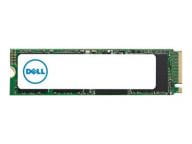 Dell - Solid-State-Disk - 256 GB - PCI Express 5397184259566 SSD disks