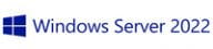 OEM Windows Server 2022 CAL 10 User