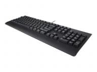 KB MICE_BO Preferred Keyboard Slovak - 4X30M86910 Datora pele